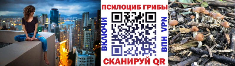 дарнет шоп  Абдулино  Галлюциногенные грибы прущие грибы 