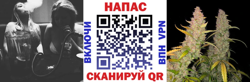 Каннабис сатива Абдулино